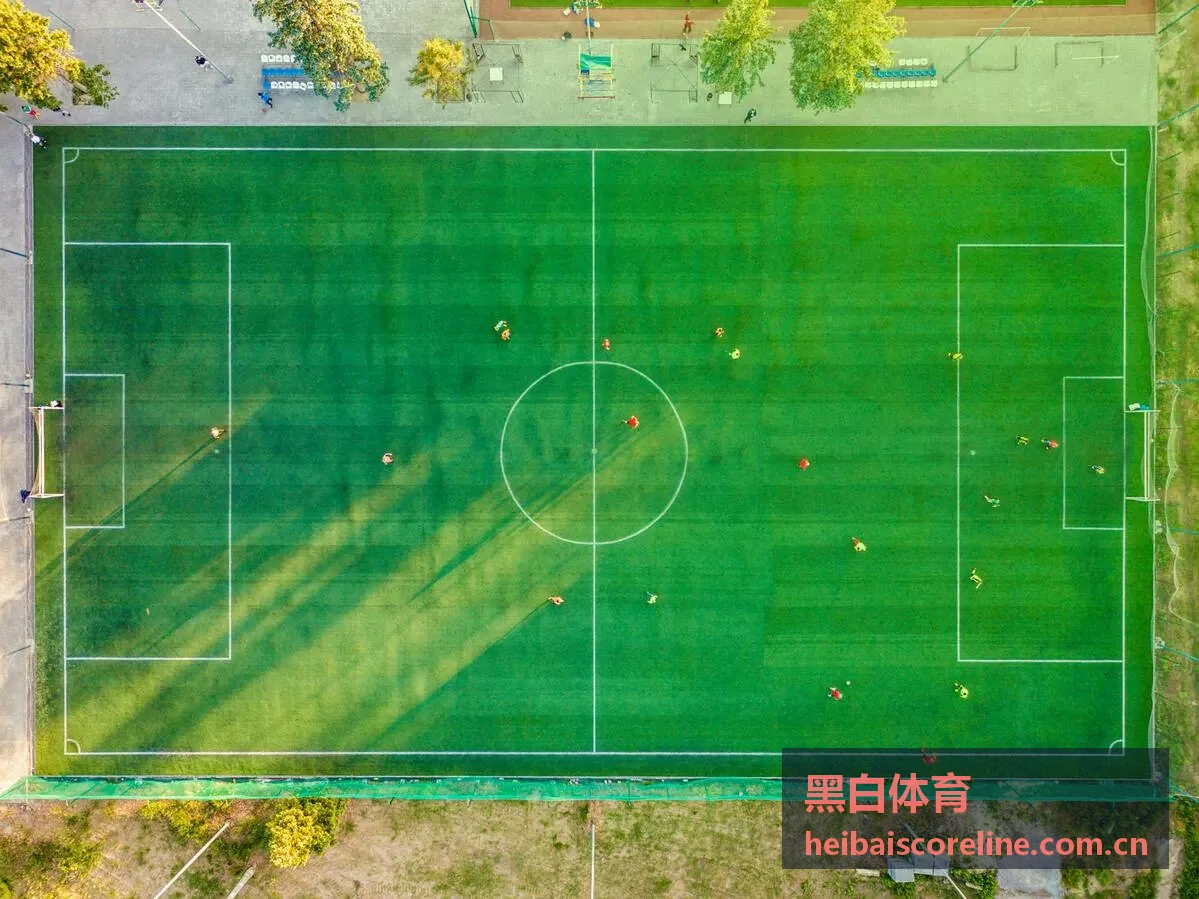 黑白体育足球赛事直播高清现场画面